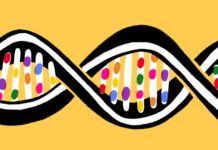 A New Age of Gay Genomics Is Here. Are We Ready for the Consequences? – Slate