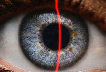 End Ban on Cornea Donations from Gay Men: Study – WebMD