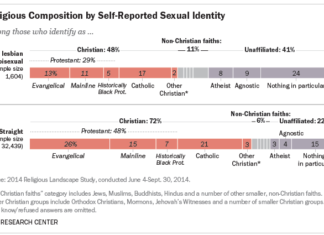 Lesbian, gay and bisexual Americans differ from general public in their religious affiliations – Pew Research Center