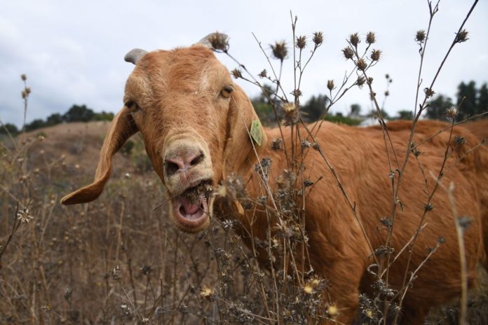 Mexico City just outlawed gay conversion therapy
