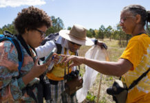 Scientists push against barriers to diversity in the field sciences – Science Magazine