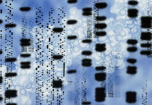 There’s (Still) No Gay Gene – Harvard Magazine