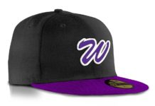 Abilene Wylie baseball takes care of Plainview in bi-district playoff sweep – Abilene Reporter-News