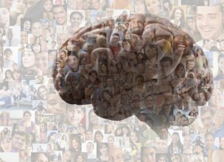 AI Can Now Sense Human Sexual Orientations from Photographs – Analytics Insight
