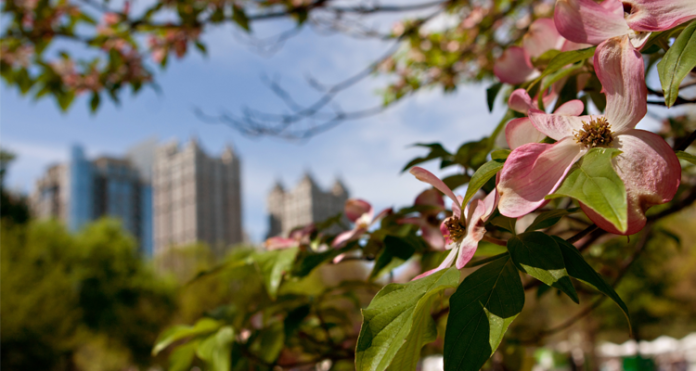 As Atlanta's Hospitality Industry Recovers, LGBTQ Travelers Have Much to Look Forward To - Georgia Voice