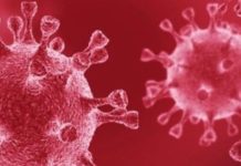 Covid-19 audio documentary wins 2021 Mary Mulvihill prize – The Irish Times