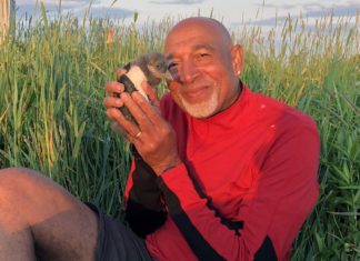 Derrick Z. Jackson receives Scripps Howard Award for COVID-19 coverage – Environmental Health News