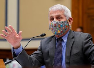 Fact check: Dr. Fauci was not featured on 1987 New York Post front page about AIDS ‘Patient 0’ – USA TODAY
