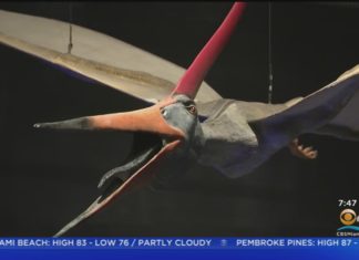 Frost Science Opens New Dino Exhibit With Life-Size Interactives – Yahoo News