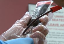 Gay activist upset at Ottawa’s attempt to block challenge of blood-donation ban – CP24 Toronto’s Breaking News
