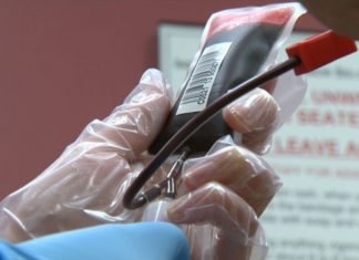 Gay activist upset at Ottawa’s attempt to block challenge of blood-donation ban – CP24 Toronto’s Breaking News