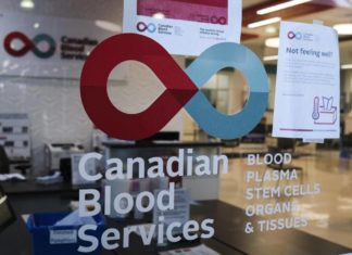 Gay activist upset at Ottawa’s attempt to block challenge of blood-donation ban – Saanich News