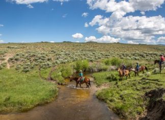 How to Plan Your Post-Vaccine Family Reunion Trip – The Wall Street Journal