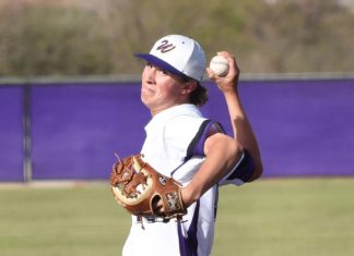 Local Player of the Week: Wylie baseball’s Gay delivers again in region quarterfinal win – Abilene Reporter-News