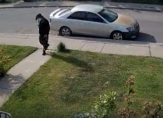 Neo-Nazi arrested after terrorizing gay couple & vandalizing trans support center for months – LGBTQ Nation