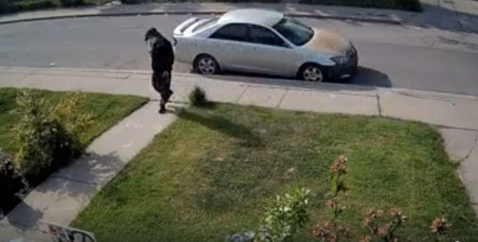 Neo-Nazi arrested after terrorizing gay couple & vandalizing trans support center for months - LGBTQ Nation