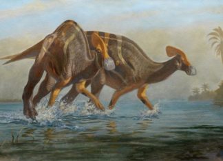 New Species Of Crested Dinosaur Identified In Mexico. – Towleroad