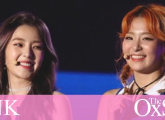 Safe space or marketing method? K-Pop and the LGBTQ+ community – The Oxford Student – Oxford Student