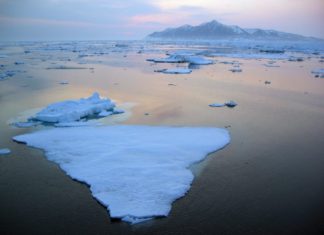 Warming Pacific waters likely adding to Arctic sea ice loss, study finds – Kotzebue Broadcasting Inc.