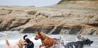 2021’s most welcoming US vacation destinations for LGBTQ families: Seattle, NYC, DC, Chattanooga – USA TODAY