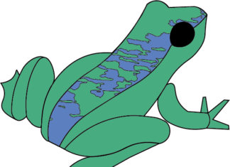 Cedarville to be ribbeting with fun for Frog Fest – Sault Ste. Marie Evening News