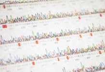 Controversial ‘gay gene’ app provokes fears of a genetic Wild West – Nature.com