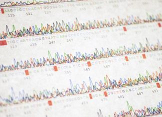 Controversial ‘gay gene’ app provokes fears of a genetic Wild West – Nature.com