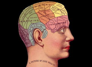 Discover the new device that activates neurons deep in the brain – Lodi Valley News.com