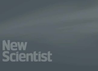 Frank Kameny: Google doodle honours astronomer and gay rights activist – New Scientist News