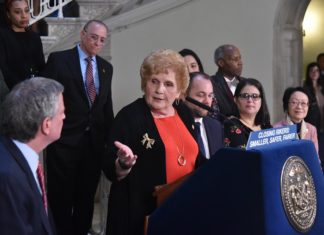 Health Care Needs and a New Jail Loom Large in Queens City Council Race – Gotham Gazette