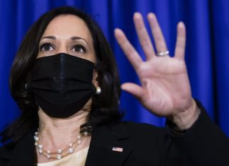 Kamala Harris makes time for gay pride parade not border – Washington Times