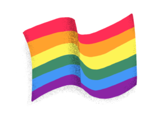 LGBTQ Pride flags go beyond the classic rainbow. Here’s what each one means – USA TODAY