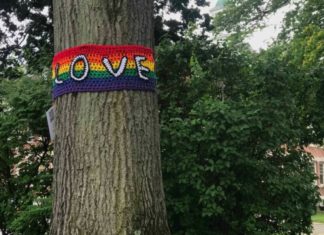 LGBTQ Youth In NC — And Beyond — Find Community And Mental Health Spaces Online During The Pandemic – WFAE