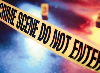 Man hit over the head with glass bottle while walking dogs with date in Northeast D.C. – Metro Weekly
