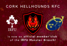 Munster Rugby announce two new member clubs – Limerick Post