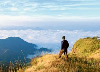 My path to freedom: a gay Catholic man’s story – The Catholic Weekly