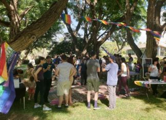 Pride 2021: Science over the Rainbow – Weizmann Wonder Wander – News, Features and Discoveries – Weizmann Institute of Science