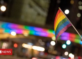 Pride month: Five stories from around the world – BBC News