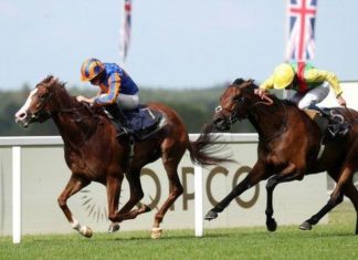 Royal Ascot: Love wins Prince of Wales’s Stakes for Aidan O’Brien’s 75th victory – BBC Sport
