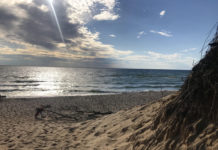 Saugatuck/Douglas is the art coast of Michigan – Washington Blade