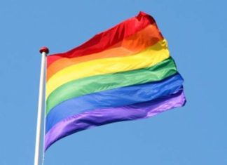 South Florida couple fined for displaying small gay pride flag – WPLG Local 10