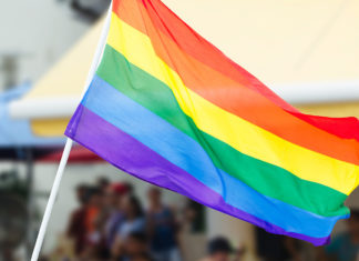 Tammy Bruce: Federal Request to fly gay pride flags at courthouses ‘reinforces tribalism’ – Fox News