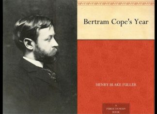 The Chicago Author Who Wrote the First American Novel to Feature Gay Characters – WTTW News