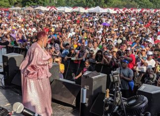 Chicago’s Long-Running, Family Reunion-style House Music Picnic and Festival – WTTW News