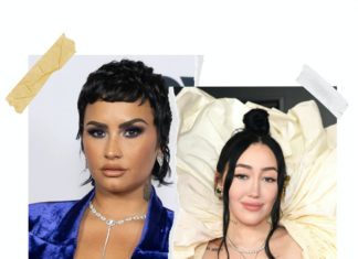 Demi Lovato & Noah Cyrus’ Theme Park Date Feeds Dating Rumors – Bustle