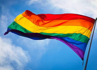 Protests In Hungary Over ‘Anti-Gay’ Bill – The Organization for World Peace – The Organization for World Peace