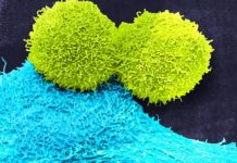 The Recovery Room: News beyond the pandemic — July 2 Medical News Today – Medical News Today