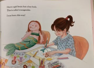 Are These 7 LGBT ‘Kids’ Books in Your Child’s Classroom, School Library? – Daily Signal