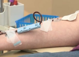Canadian Blood Services to ask Health Canada to remove controversial 3-month blood ban – CTV Edmonton