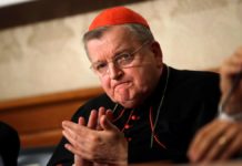 Catholic Leader Placed on Ventilator for Covid-19 After Saying Vaccines Could Have Microchips – Gizmodo